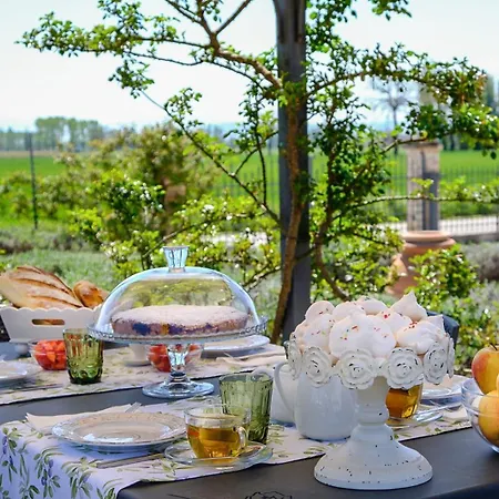 Il Fienile Di * 아시시