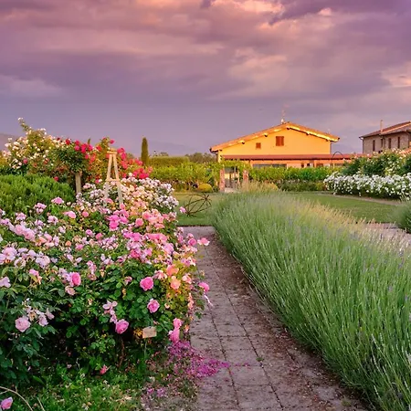 Il Fienile Di 팜스테이 *