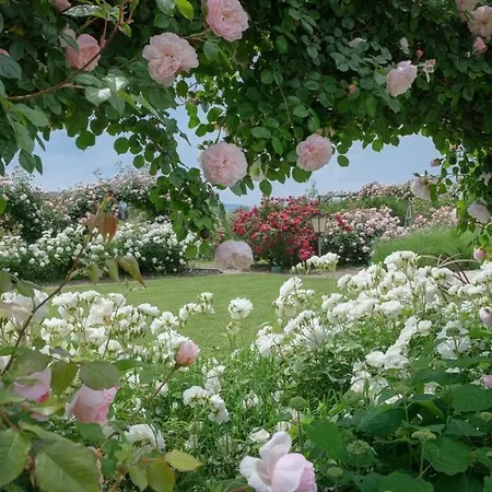 Il Fienile Di 아시시