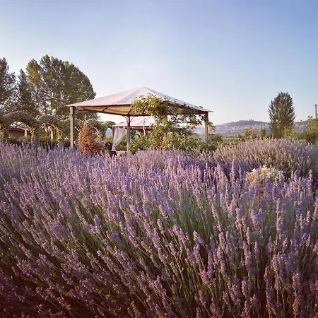 Farmház Il Fienile Di *