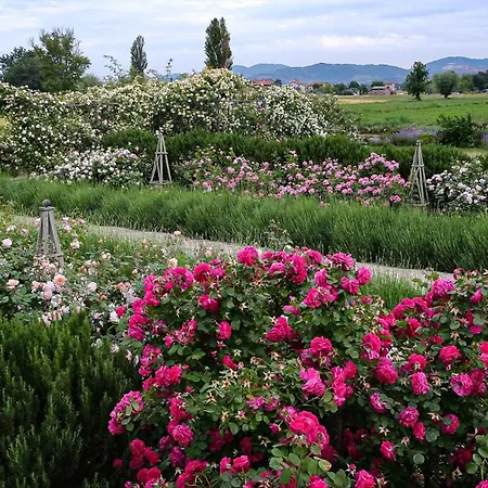Agroturismo Il Fienile Di Asís