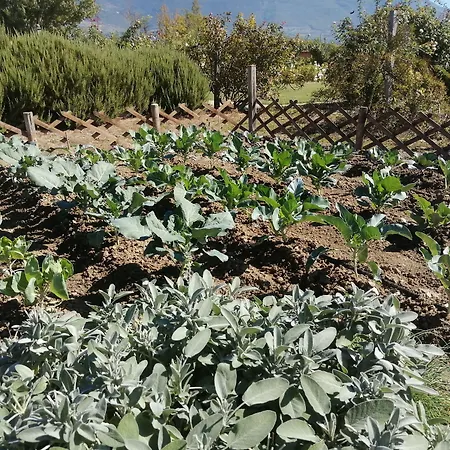 Il Fienile Di Farmház