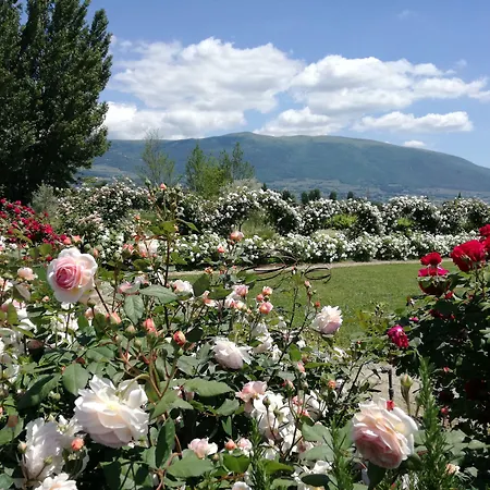 Feriegård Il Fienile Di *