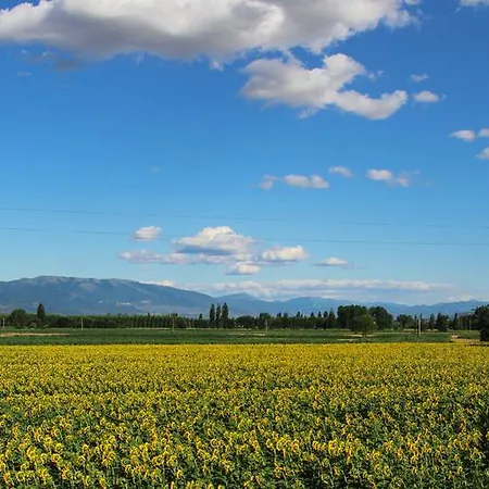 Agroturismo Il Fienile Di Asís