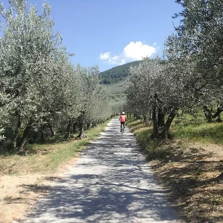 Il Fienile Di Asís