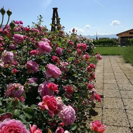 Il Fienile Di Agroturismo Asís