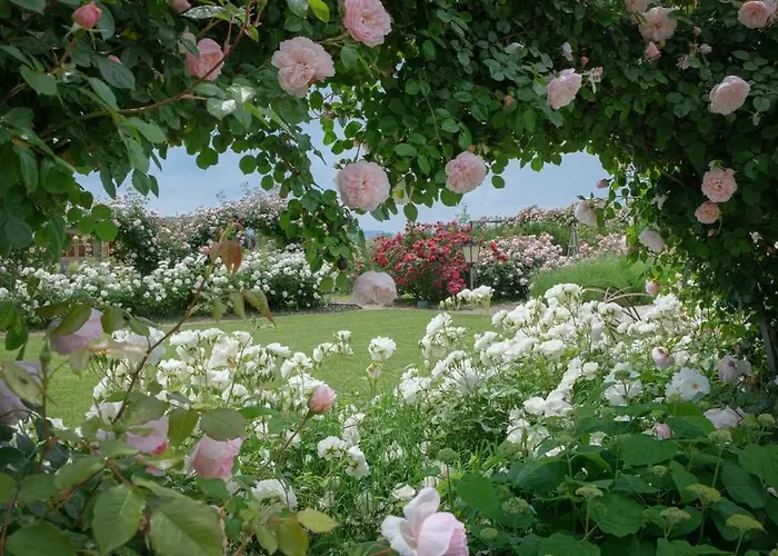 Il Fienile Di Assisi