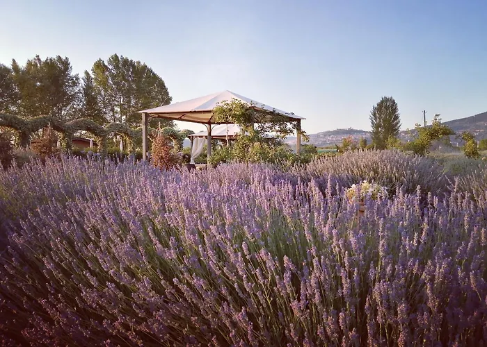 Alojamento de Turismo Rural Il Fienile Di *