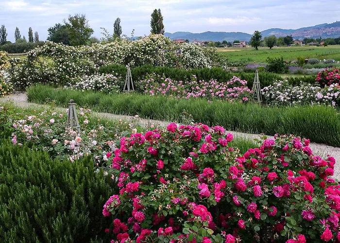 Alojamento de Turismo Rural Il Fienile Di Assisi