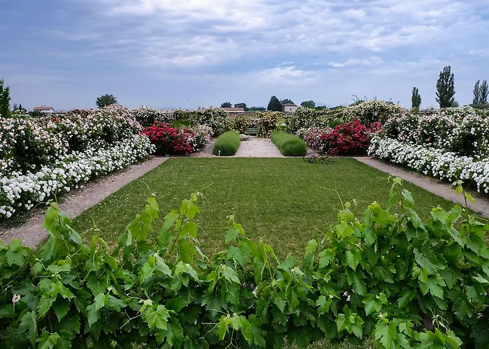 Il Fienile Di Assisi