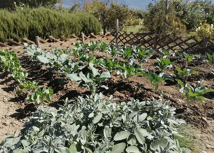 Il Fienile Di Lantgård