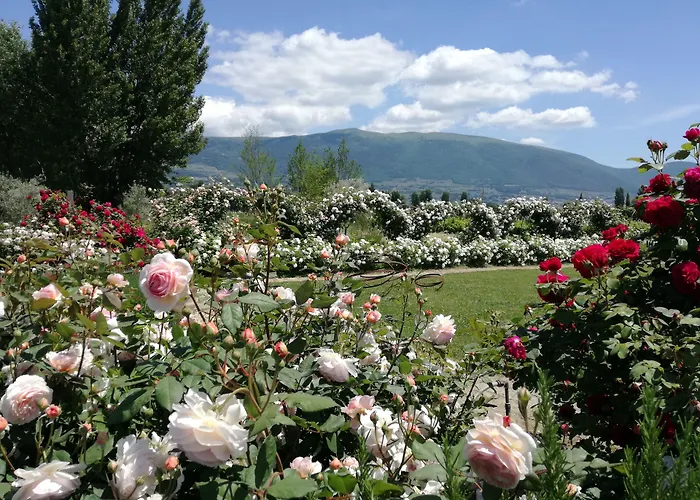 Lantgård Il Fienile Di *