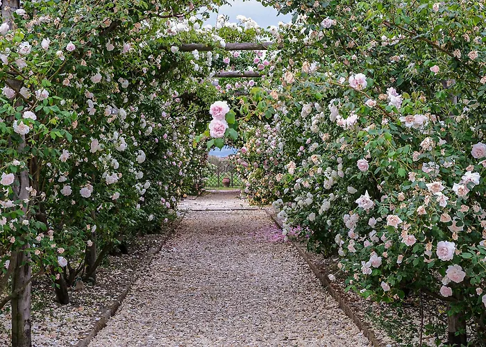 Il Fienile Di Lantgård