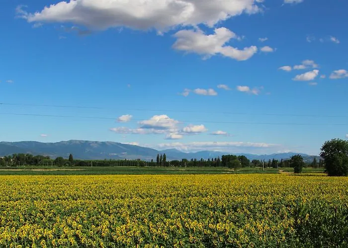 Lantgård Il Fienile Di Assisi