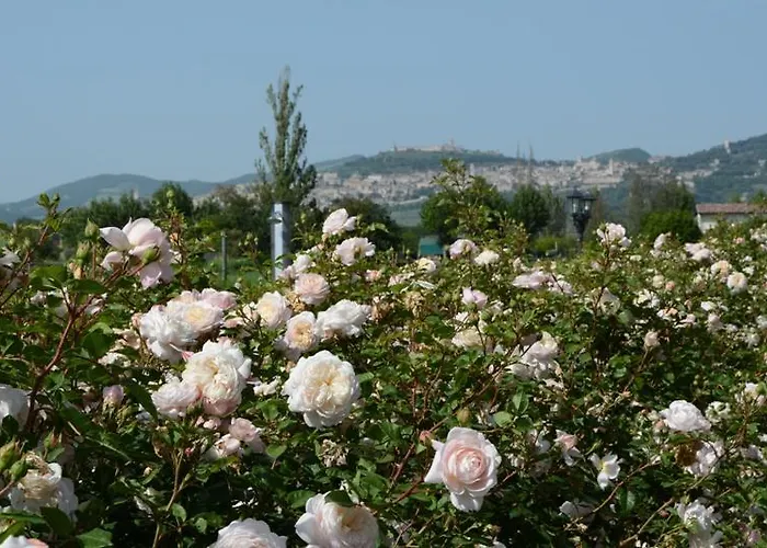 Lantgård Il Fienile Di