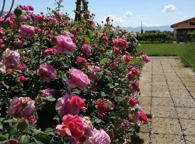 Il Fienile Di Lantgård Assisi